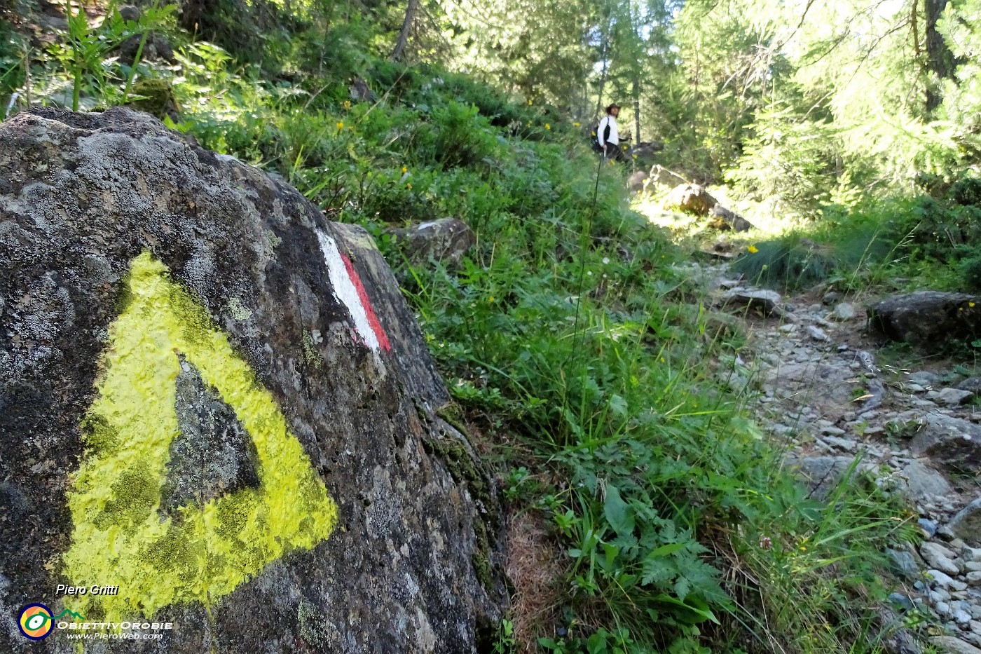 14  Sul sent. 301-305 nel bosco seguendo la valle .JPG